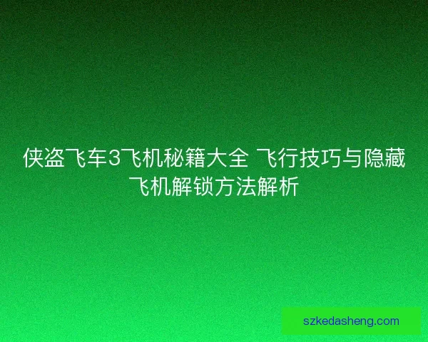侠盗飞车3飞机秘籍大全 飞行技巧与隐藏飞机解锁方法解析