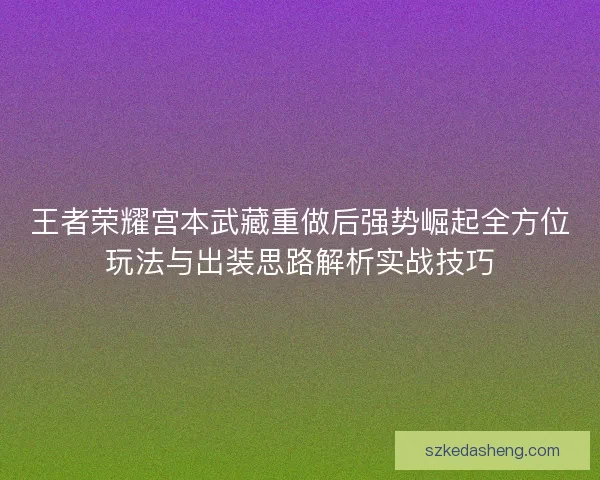王者荣耀宫本武藏重做后强势崛起全方位玩法与出装思路解析实战技巧
