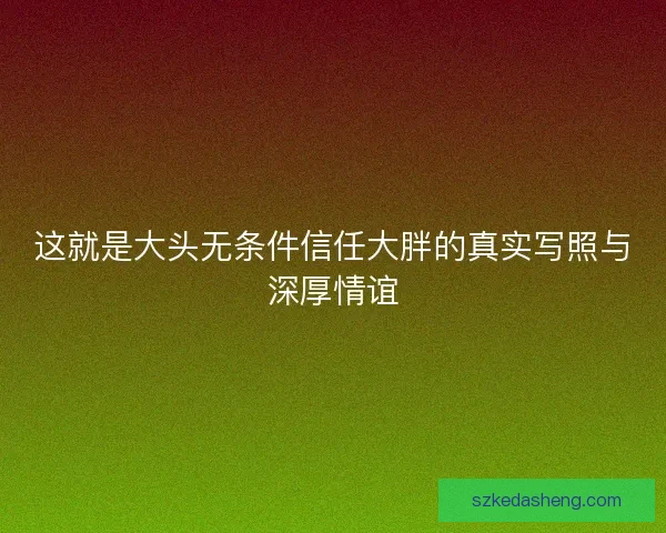 这就是大头无条件信任大胖的真实写照与深厚情谊