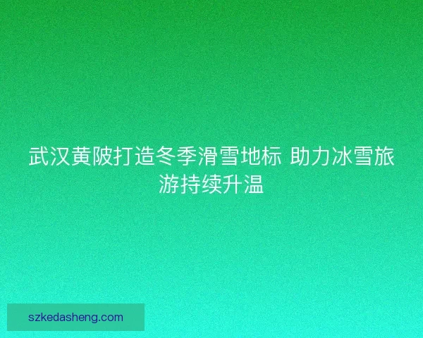 武汉黄陂打造冬季滑雪地标 助力冰雪旅游持续升温